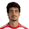 Diogo Leite